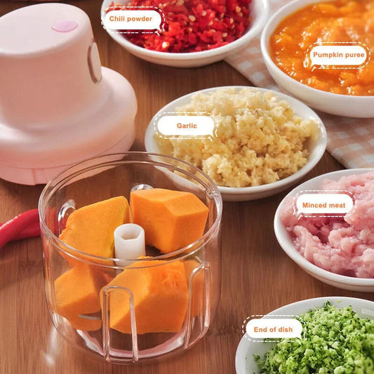 Single Bowl Electric Mini Grinder Food Chopper | Best Quality Food Chopper